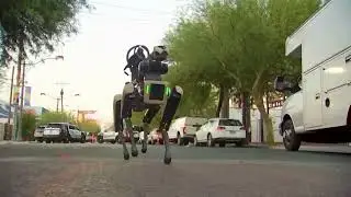 Robo Dog: Boston Dynamics' Futuristic Police Canine