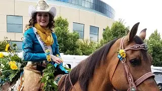 Equestrian Parade Flowers