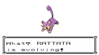 Pokemon Yellow Rattata Evolve Into Raticate | Danumuh