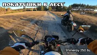 Чуть не застряли в лесу покатушки дикие .Geon scrambler 250 shineray 250 6c .