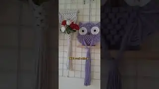 Macrame Owl Wall hanging