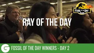 COP21: The Second Ever 'Ray of the Day'