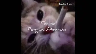 Farina Pongan Atención Slow+Reverb