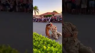🥰 Boxer Jumps Hedge Like a Kangaroo Amazing Leap Caught on Camera #dog #pets #funny