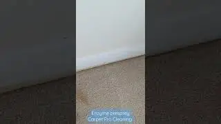 Satisfying removal of heavy stains. Enzyme Pre-Spray