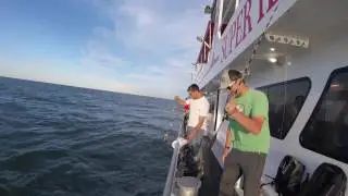 Long Island Seabass 2016