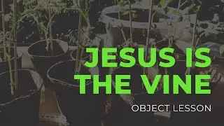 Digital Kids Lesson - Jesus is the Vine (Object Lesson)