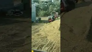 Cow Chow #farming #harvest
