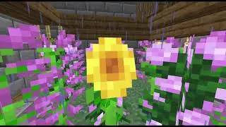 netheranarchy.org jounrey continues