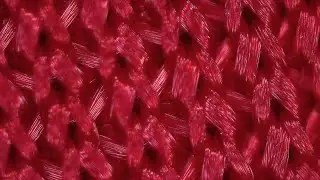 Up Close - 12 Different Fabrics Magnified - Cotton, Silk, Wool, Polyester, Nylon, TENCEL and more