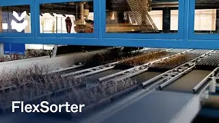 TTA-ISO recently installed a FlexSorter at Denis-Plants, Belgium