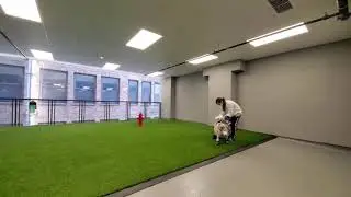 The dog run and pet spa at the South Loop's new Imprint tower
