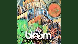 Photosynthesis