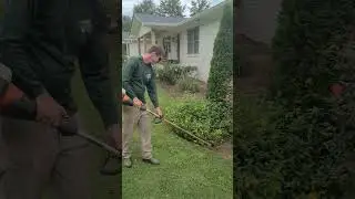 Edging a Borderless Flower Bed with String Trimmer