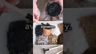 Mastering Potting Mixes for Planting plants!