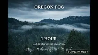 Fog Rolling Through the Trees &ndash; 1 Hour of Relaxing Oregon Ambience + Music