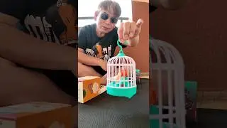 unboxing lovely rc birds. #shorts