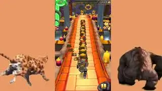 Spirit Cove Tigers & Monkey Running