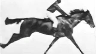 1878 - Sallie Gardner at a Gallop