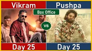 Vikram Vs Pushpa - Box Office Collection Day 25 | India Gross, Overseas, Worldwide