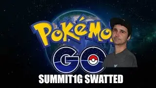 Summit1G Gets Swatted