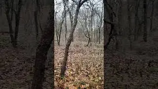 Ready For Deer Season.  Come On Fall Time