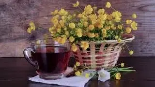 Harvesting & Cooking Wild Edibles - Blackberry Tea Recipe #tea #recipe #blackberry #herbalmedicine