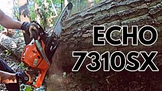 Testing The Echo 7310SX Powerful Chainsaw in bad conditions