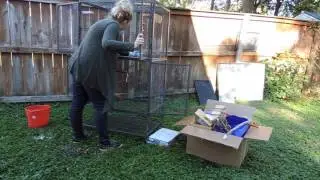 Deep Cleaning my Rat Cage