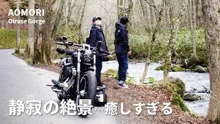 【ブレイクアウト】奥入瀬渓谷BIKEツーリング | 奥入瀬渓谷～弘前城さくら祭り～ねぶた祭 | 秋田と青森の絶景旅【Harleyトランポ旅】