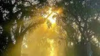 LIBRA Energy Update... What Are You Waiting For???&hellip;