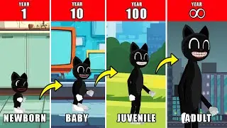 &infin; Years of Cartoon Cat Life Documentary: How Cartoon Cat Might Have Lived