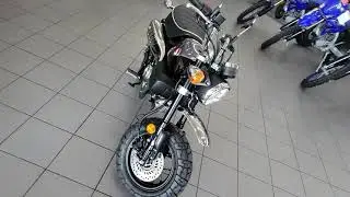 2022 Honda Monkey ABS in Stock now at Tracy Motorsports!