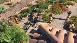 Where in the World with Tom Shaker / Desert Bloom, Nevada