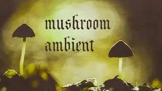 1 hour of mushroom ambient