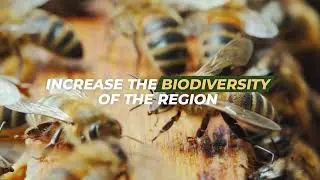 Florida Bee Lab