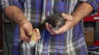 Drilling Hole in Walking Cane Handle