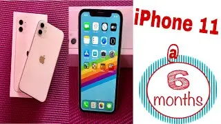 iPhone 11- after 6 Months (My Honest Review)