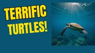 SCUBA Bonaire | Week of December 11th, 2025