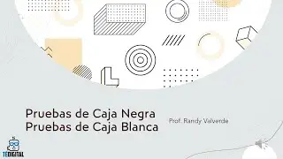 Pruebas de caja blanca y pruebas de caja negra (Explicación simple) - Teoría de Sistemas