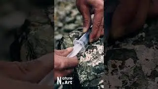 Fire Syringe #bushcraft #camping #survival #outdoors