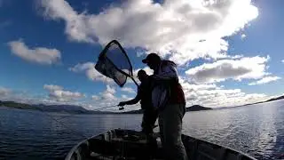 Squid Session (Calamari) -  North West Bay Tasmania