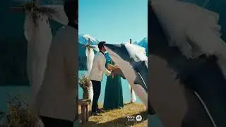 Man officiates his true love with the SorAlien as his witness!