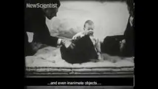 How a baby was trained to fear