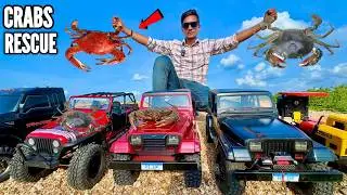 RC New Thar 3 Door 2025 Mud Crabs Rescue Mission - Chatpat toy TV