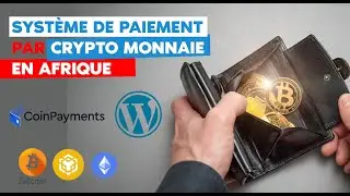 Recevoir de paiement par cryptomonnaie sur son site en Afrique