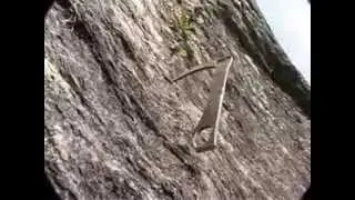 Покорение стены Троллей (Troll Wall 2006)