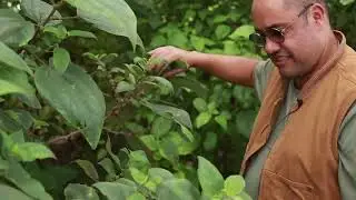 Localicious&reg; Heroes 2023: Kilani Brew Handcrafted Tea