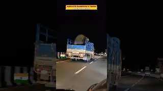 Elephant transportation 🐘😳 #elephant #animals #transport #wildlife #shorts