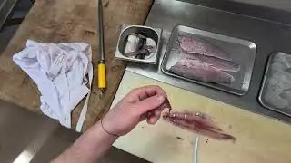 CROATIA FISHING 1DAY catch &cook #fishing #croatia #cooking #mullet #vacation #tour